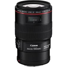 EF 100mm f/2.8L Macro IS USM